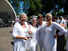 Uitvoering 2017 Muziektuin (12).jpg